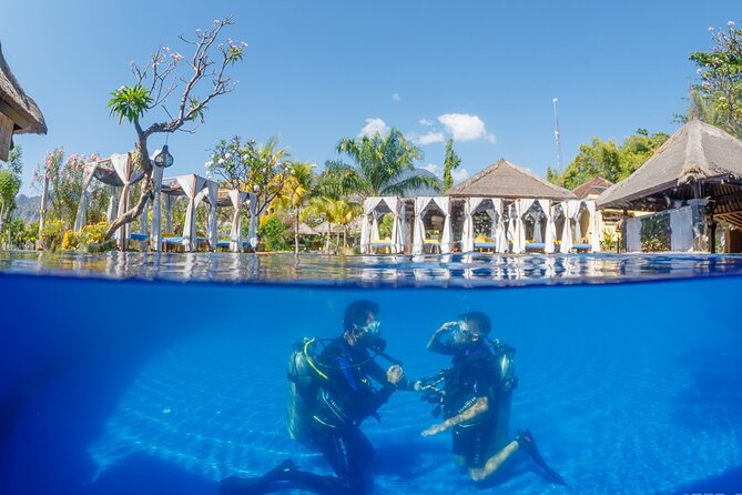 Try Dive Program in the Biorock Pemuteran - Program Overview