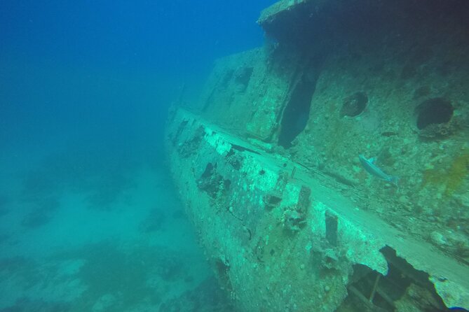 Try Scuba Diving Experience for Beginners in Hurghada