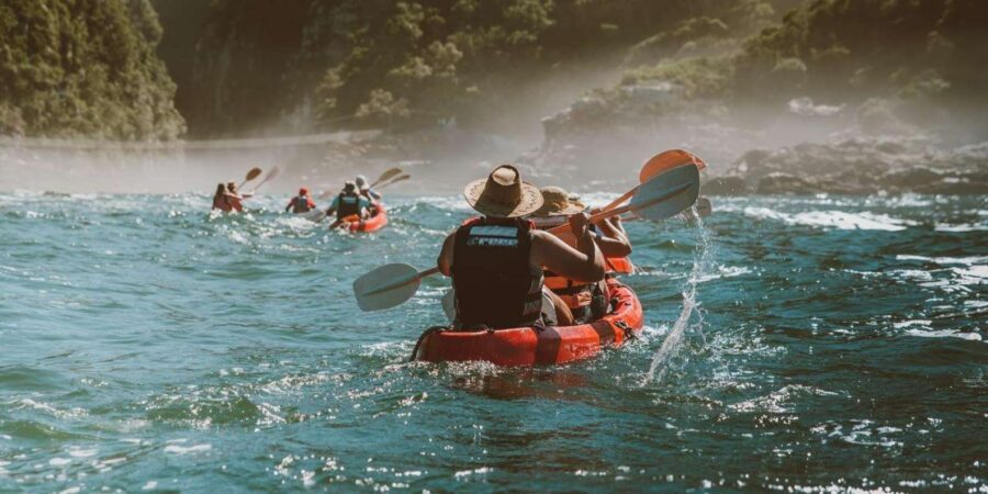 Tsitsikamma Adventure: A One-Day Tour of Nature and Thrills