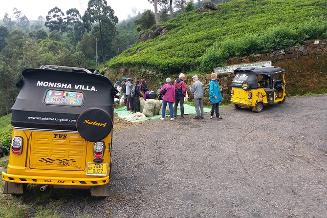 Tuk Tuk Safari and Picnic in the Tea Plantation From Ella,Haputale & Bandarawela - Tour Overview