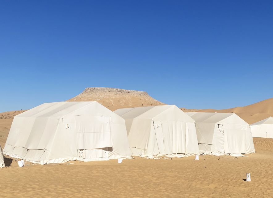 Tunis: 3-Day Sahara Explorer Guided Tour W/ Meals & Transfer - Tour Overview and Pricing