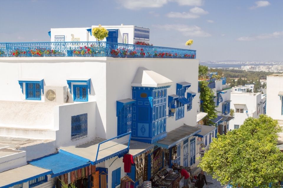 Tunis: Carthage, Bardo, Sidi Bou Said and Medina Tour - Tour Overview and Pricing