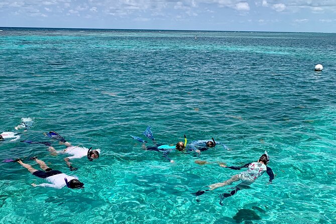 Turtle Garden Snorkeling Tour and Island Break