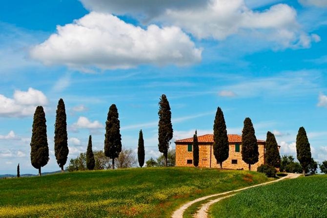 Tuscan Chianti Hills Horseback Riding Tour