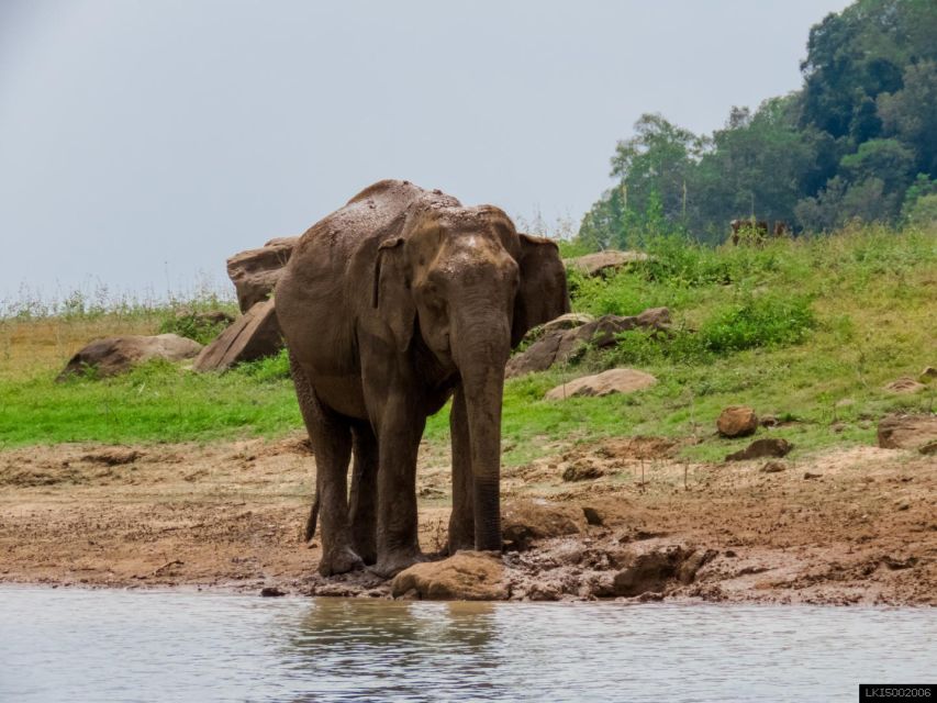 Tusker Safari at Kalawewa National Park