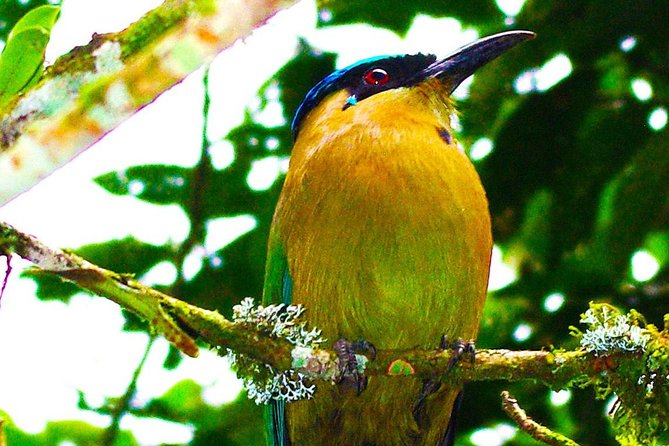 Two Days Botanical Garden, Coffee and Trekking - Meeting and Pickup Details