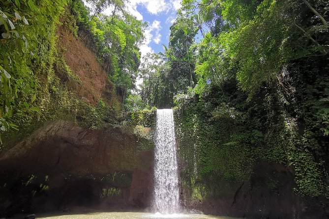 Ubud Village, Tegalalang Rice Terrace Swing, Tirta Empul Temple and Waterfafall