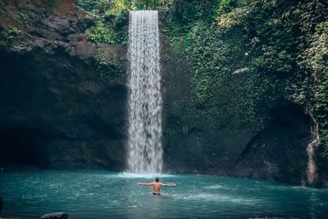 Ubud Waterfall Tour - Overview of the Tour