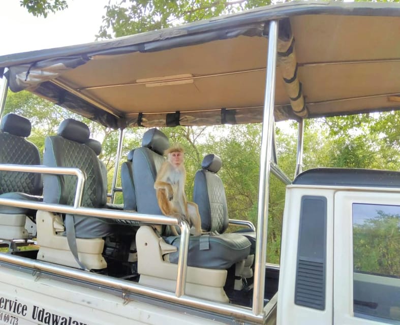 Udawalawe Elephant Safari With Transfer From Galle - Overview and Pricing
