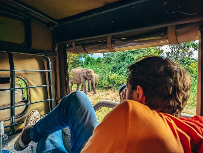 Udawalawe National Park: Private 4 Hours Safari Trip