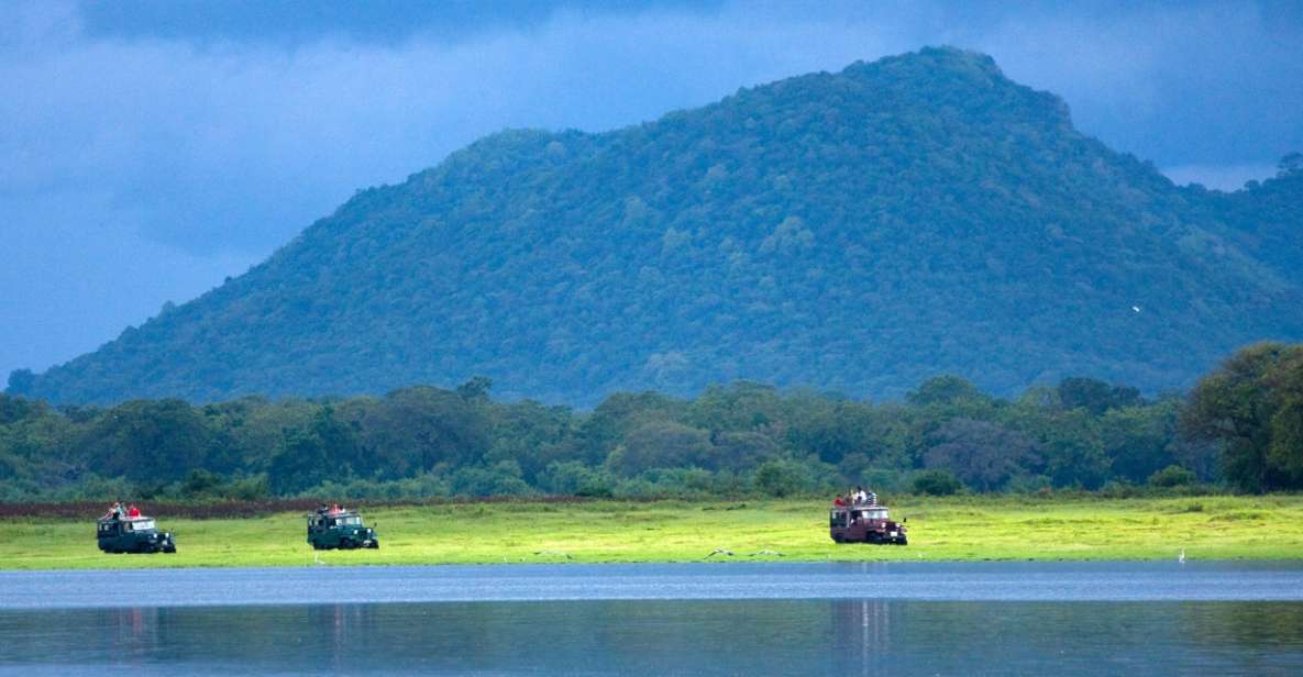 Udawalawe National Park Private Full-Day Safari - Safari Overview