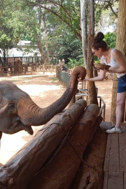 Udawalawe National Park Safari & Elephant Transit Home Visit