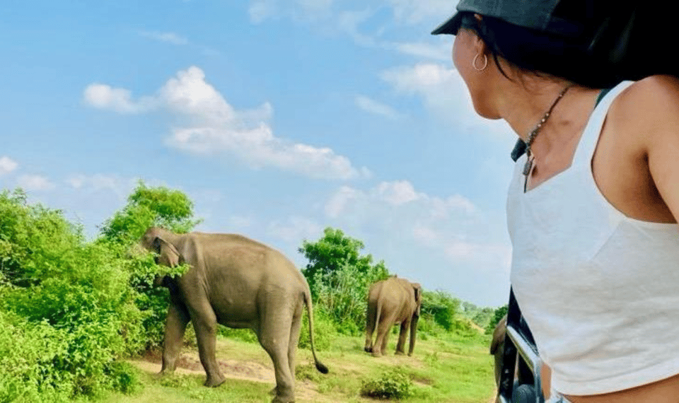 Udawalawe National Park: Safari With Experienced Driver - Tour Inclusions and Exclusions