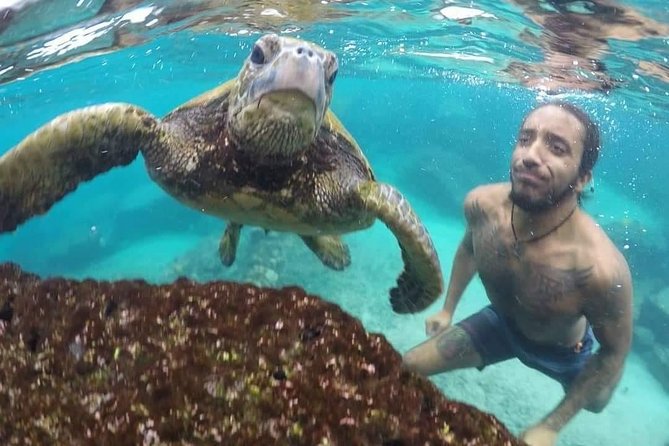 Ultimate Ocean Encounters Midday Snorkel