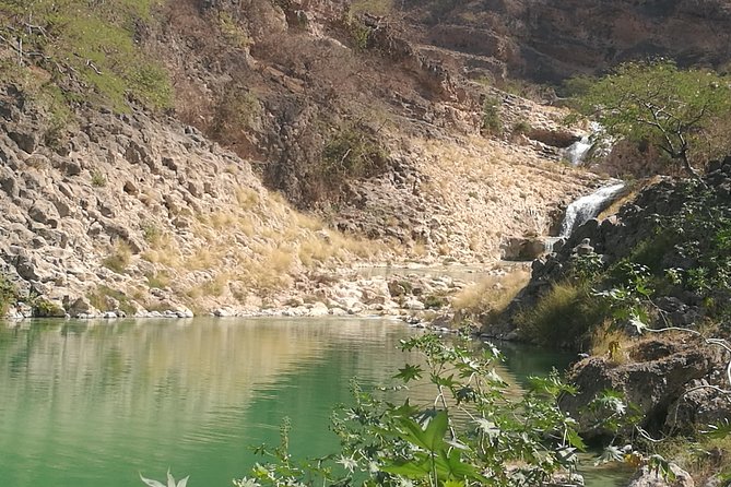 Uncover Wonders of East Salalah-Full Day Guided Tour