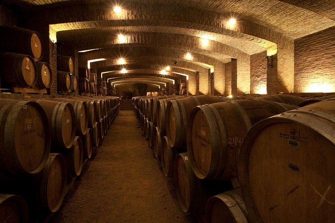 Undurraga Wine Tasting Tour From Santiago - Wine Tasting Experience