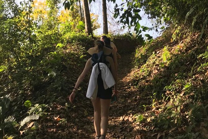 Unearth Indigenous Wisdom and Hike Through Lush Rainforest