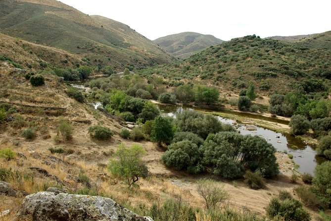 Upper Douro Walk & WineTour