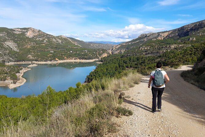 Valencia Buseo Reservoir Private Hiking Tour  – Valencia Province
