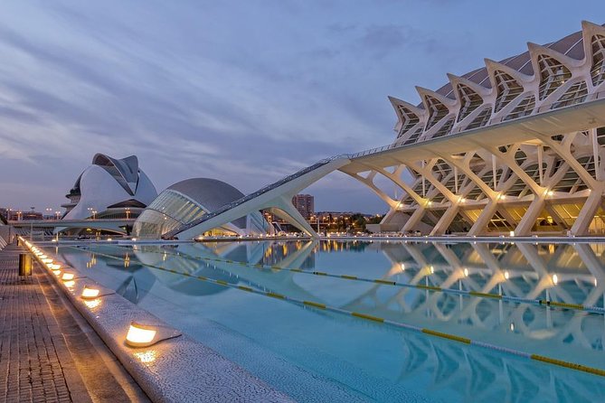 Valencia Private Tour With Hotel or Cruise Port Pick up