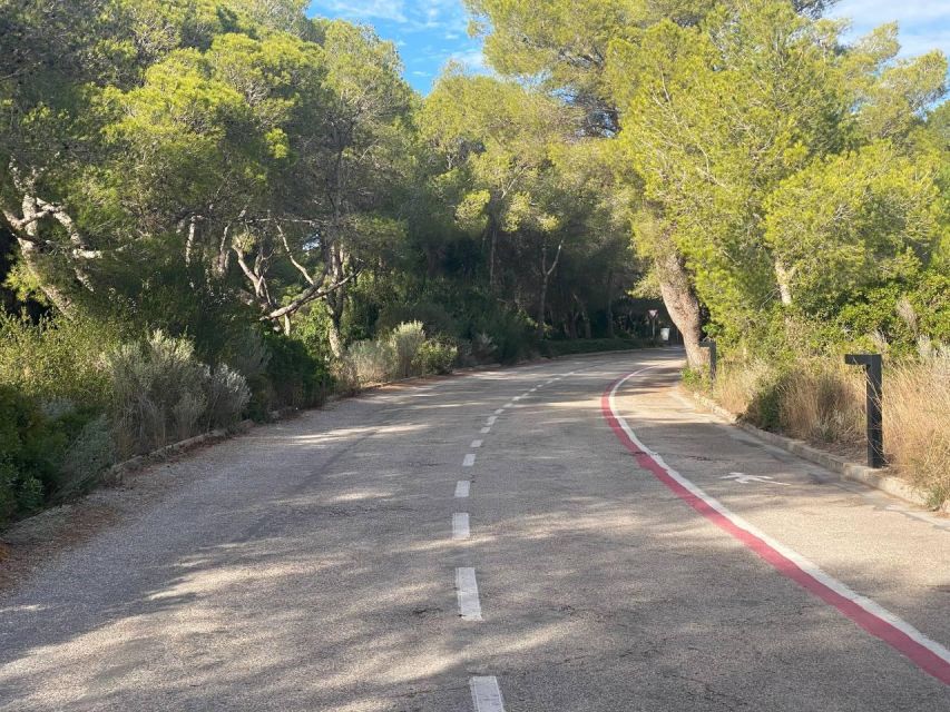 Valencia: The Albufera Lake Self-Guided E-Bike Tour - Tour Overview