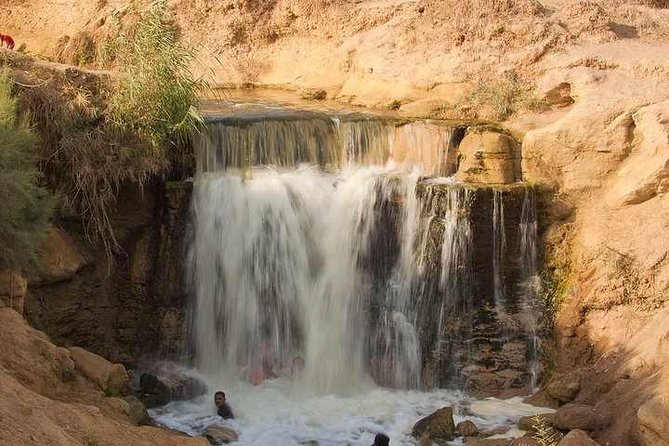 Valley of Whales and Wadi El Rayan Water Falls Day Tour From Cairo - Itinerary Details