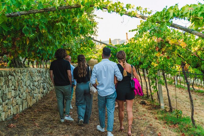 Venetian Villa Wine Tasting Tour Review