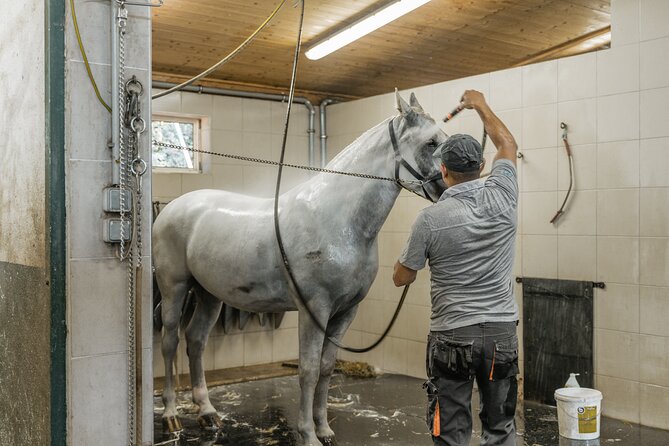 Vienna Horse-drawn Carriage Guided Tour - Tour Overview and Experience