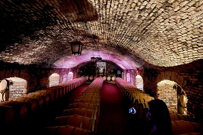 Viña Concha Y Toro Premium Tour (Half Day)
