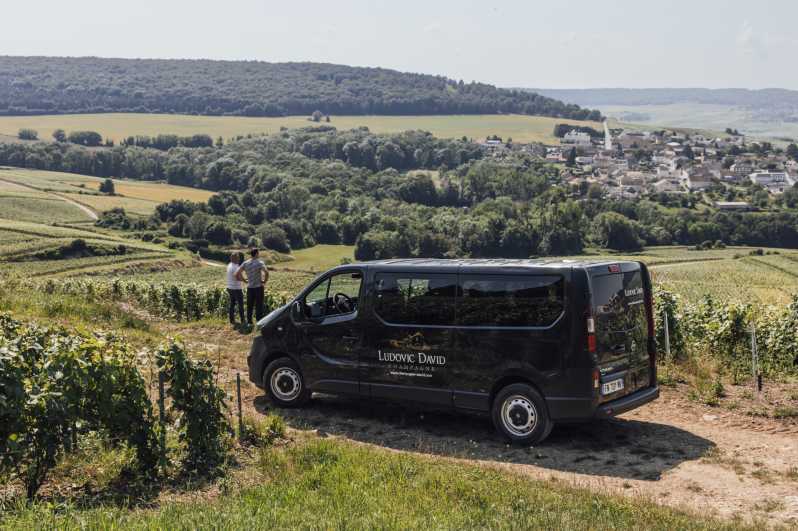 Vineyard Tour and Tasting With Champagne Ludovic David - Pricing and Booking