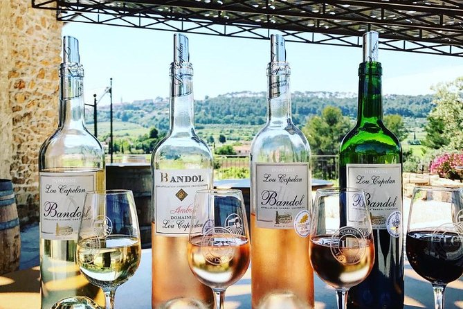 Vineyard Visit in Gyropode, Visit of Cave & Tasting Wines of Bandol