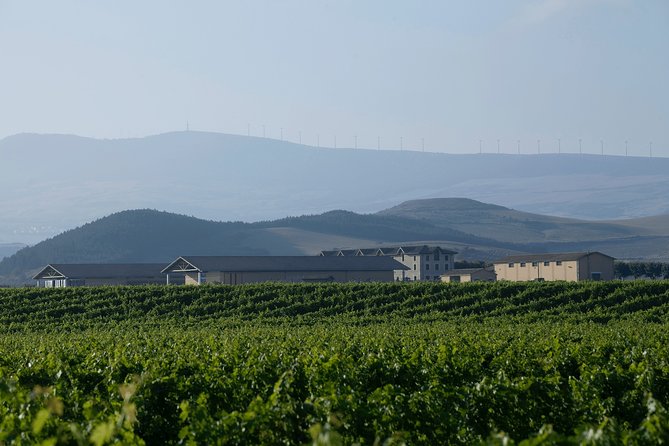 Visit and Tasting in Otazu - Activity Overview