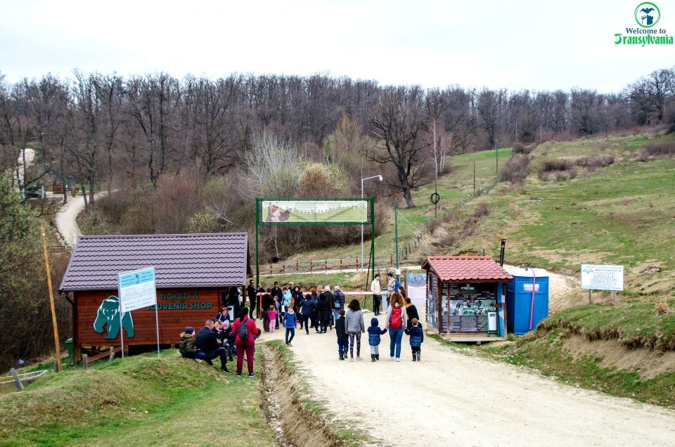 Visit Bear Sanctuary and Bran Castle From Brasov - Itinerary Details