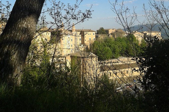 Visit of the Ducal Palace of Urbino