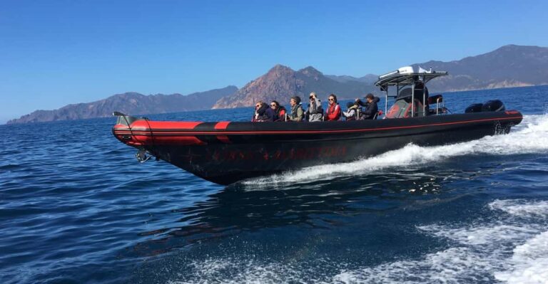 Visit Scandola Calanques Piana 2h Stop Girolata 12 Seat Boat