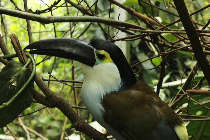 Visit to La Reserva BioPark Private Tour (6 Hrs.)