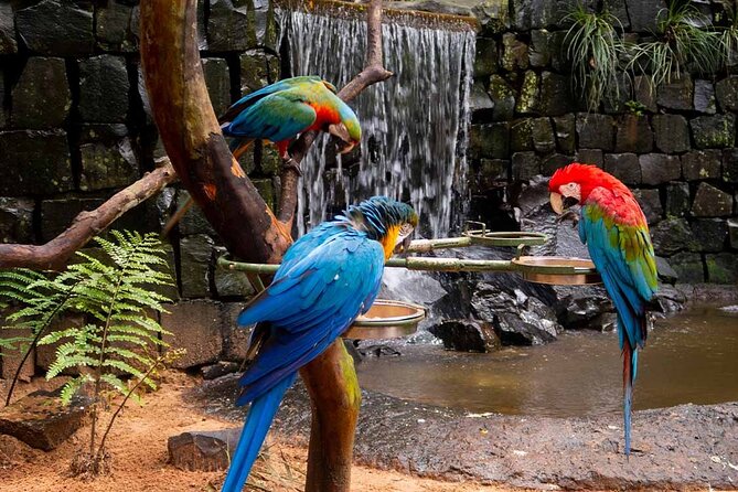 Visit to the Bird Park