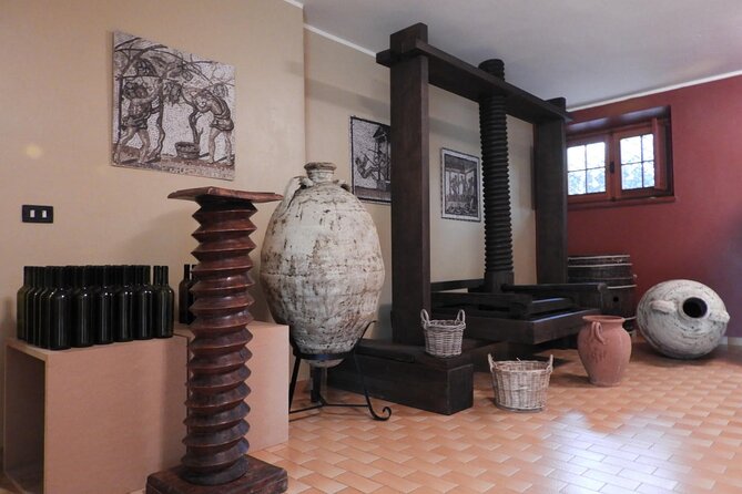 Visit to the Museum and Tasting of the Ancient Roman Wine
