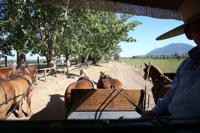 Viu Manent and Montes Alpha, Colchagua Valley From Santiago