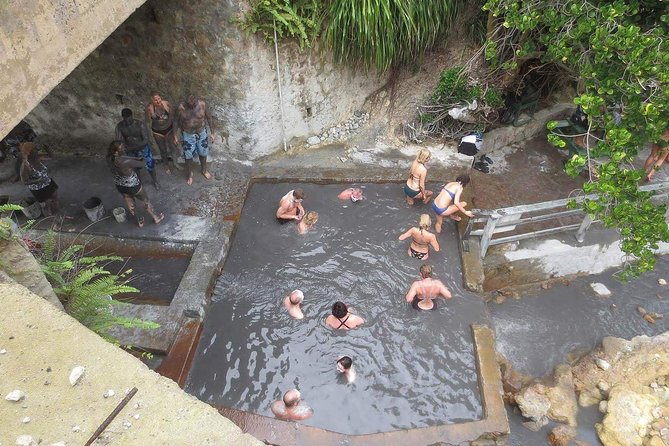 Volcanic Tour and Botanical Gardens