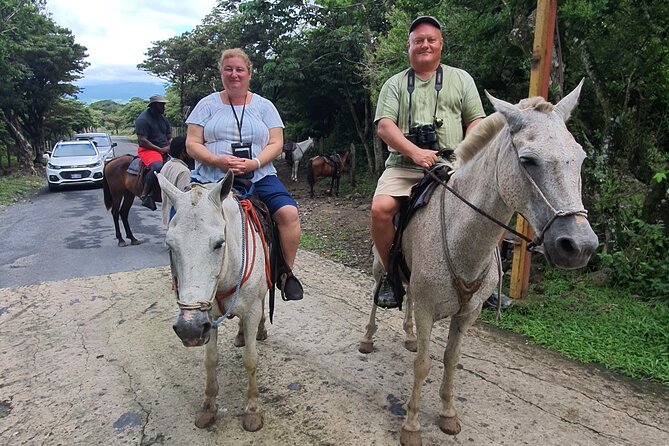 Volcano-3waterfalls-Horses -Hotsprings -Mudbath-Hanging Bridges - Immersive Volcanic Adventure