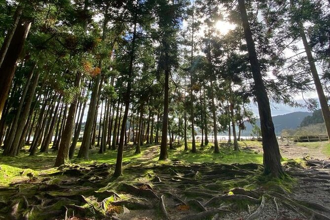 Volcano of Fogo and Furnas Private Tour