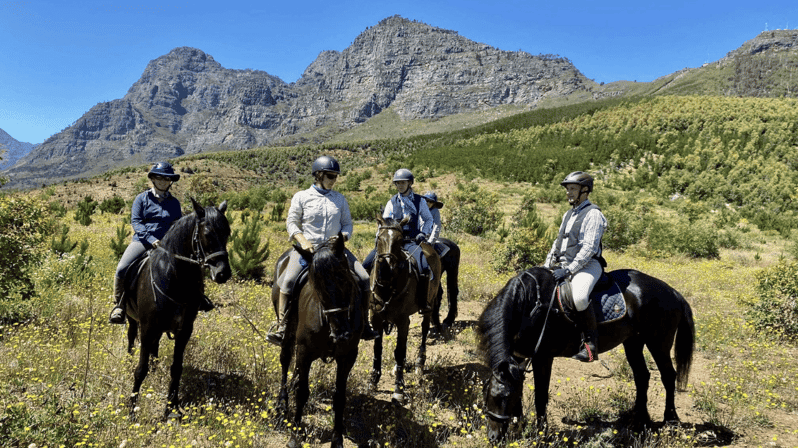 Vrede En Lust Wine Estate: 1H Breakfast Horse Trail - Experience Overview