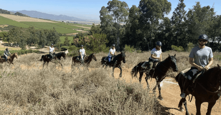 Vrede En Lust Wine Estate: 2H Horse Trail