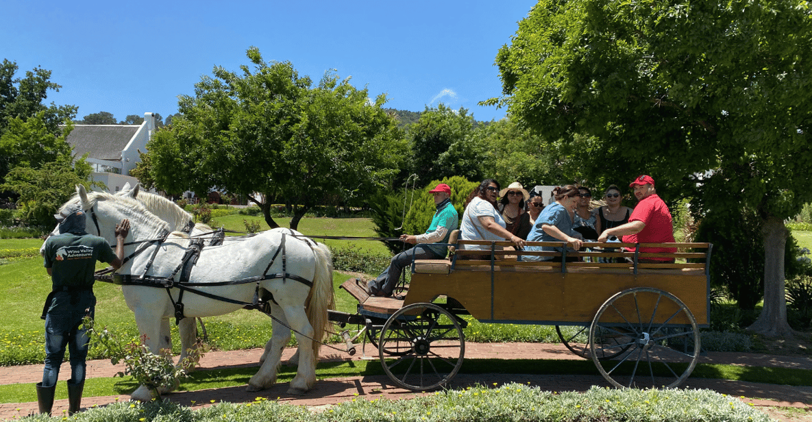 Vrede En Lust Wine Estate: 30M Carriage Ride - Activity Overview