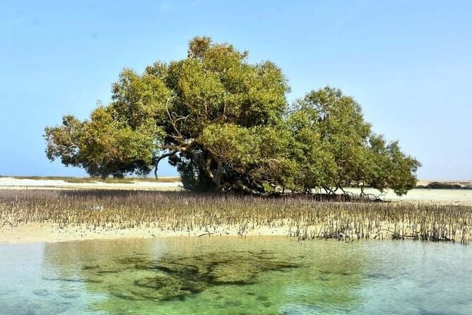 Wady Elgemal National Park Marsa Alam