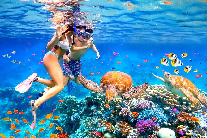 Waikiki Catamaran Escape: Snorkel With Turtles & Water Sports Fun