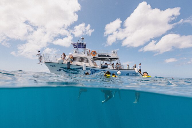Waikiki Turtle Canyon Snorkeling With Lunch and Hula Show