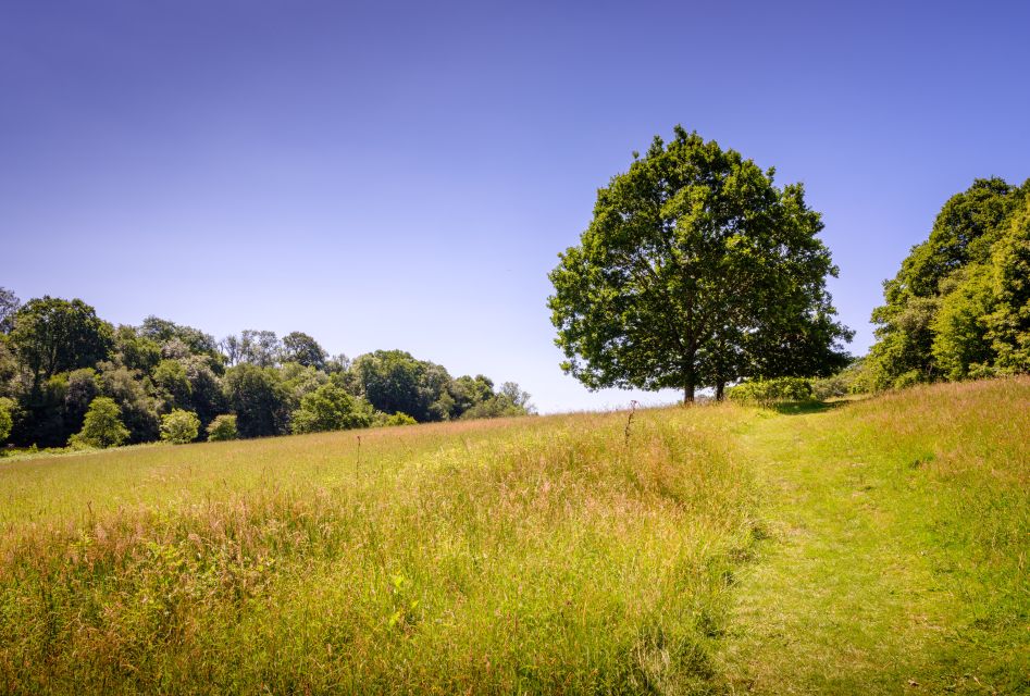 Wakehurst: Botanical Garden Entry Ticket - Ticket Pricing and Policies