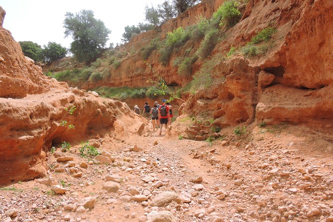 Walk Between Argan Forest, Ocean & Waterfalls. 12 Km - Scenic Route Overview